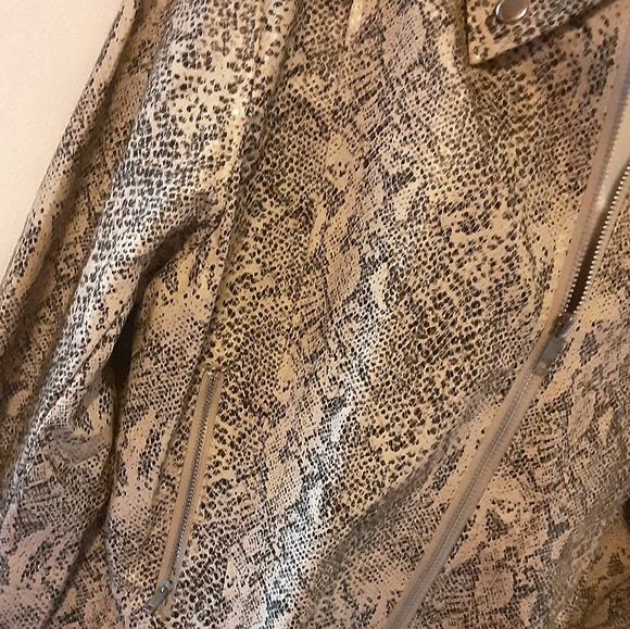 Who's There Python Print Moto Military Jacket Size Large NWOT - Picture 8 of 15